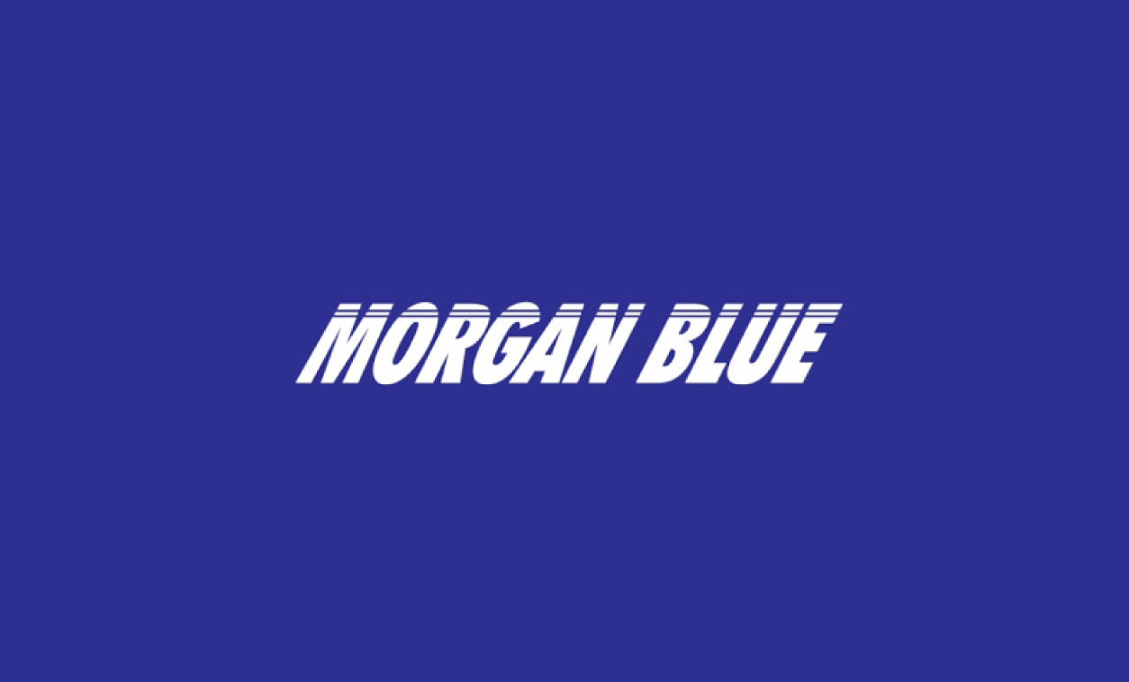 MORGAN_BLUE